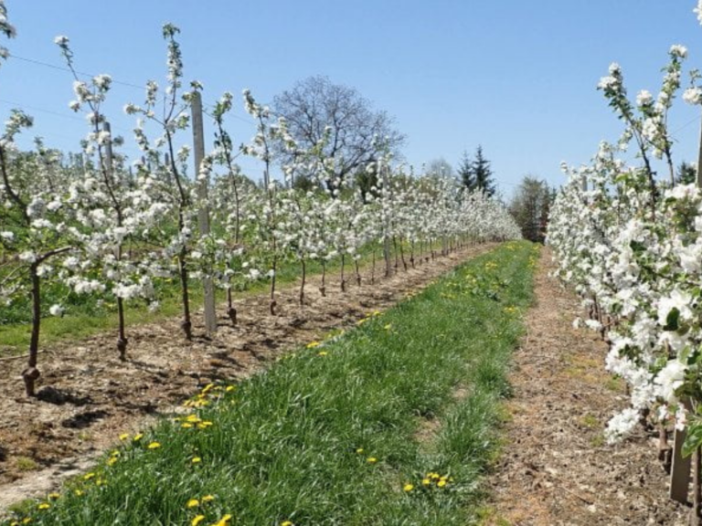 Projekt bez tytułu-35