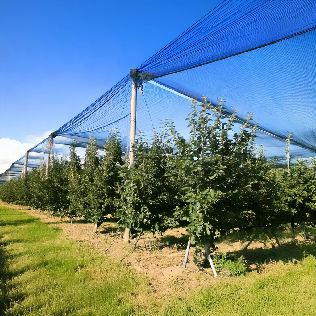 konstrukcje przeciwgradowe