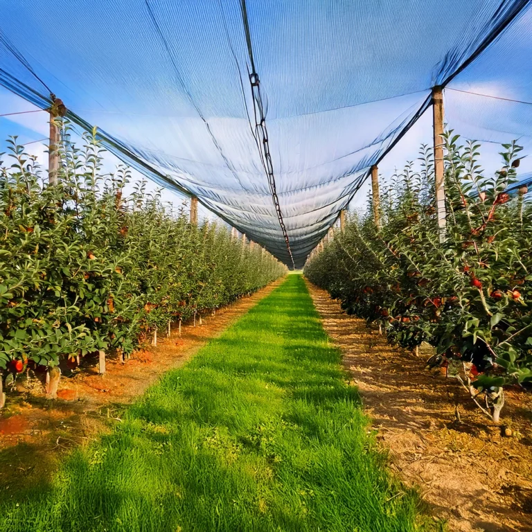 konstrukcje przeciwgradowe