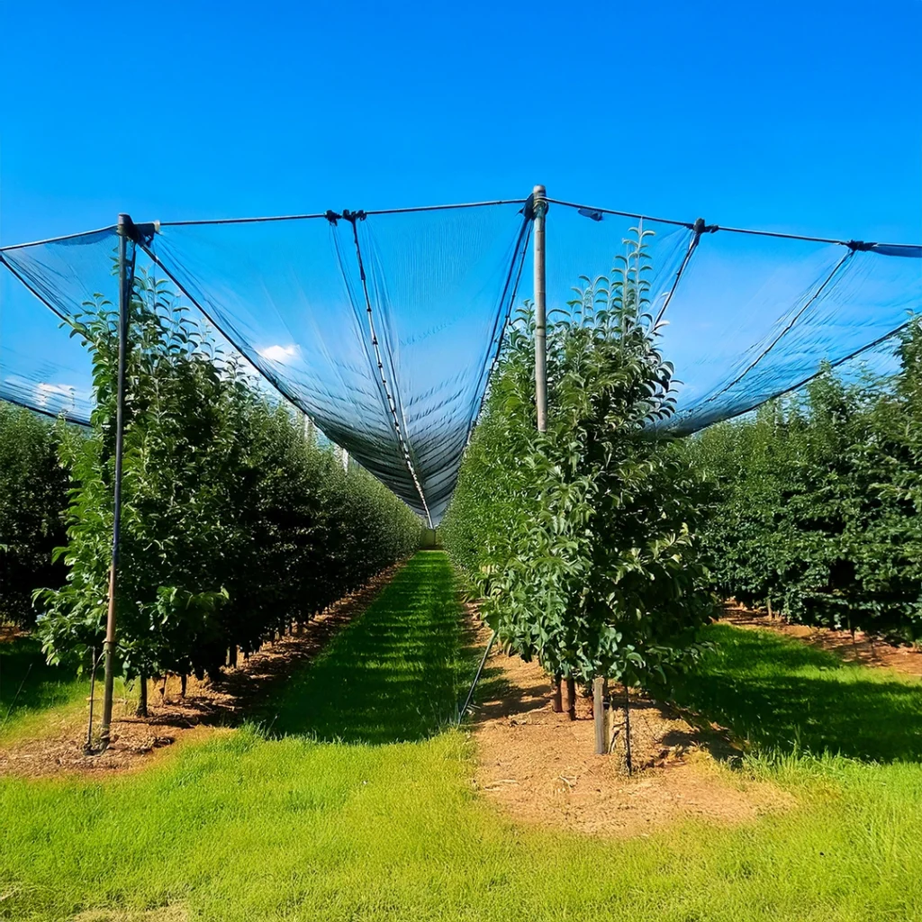 siatka na gradobicie